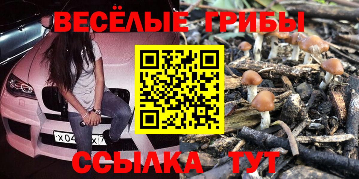 Киселёвск  Галлюциногенные грибы мицелий  купить  цена  Вход с VPN 