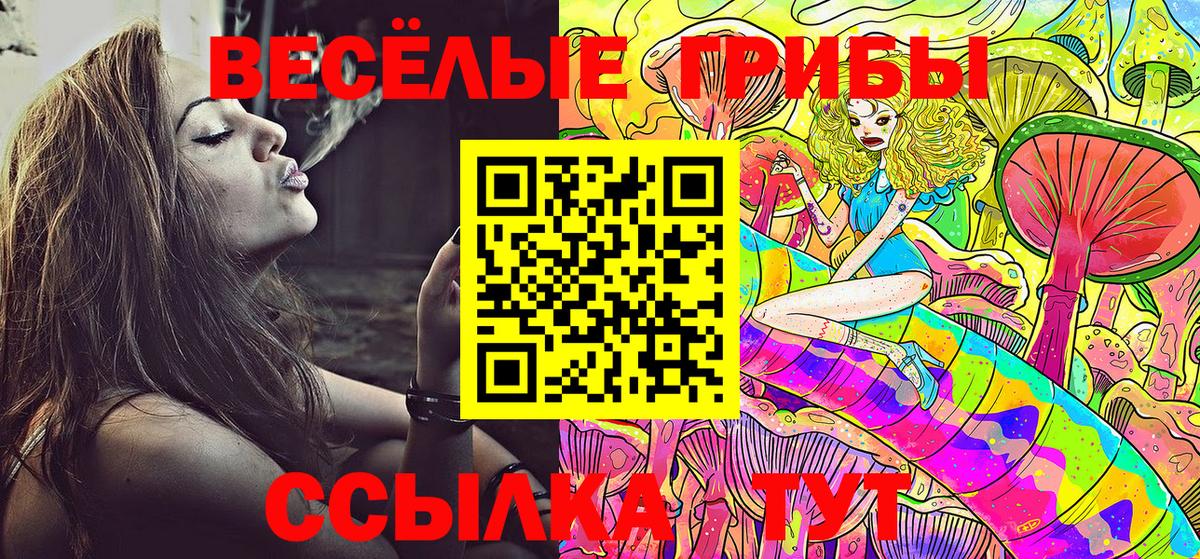 Галлюциногенные грибы Cubensis Киселёвск