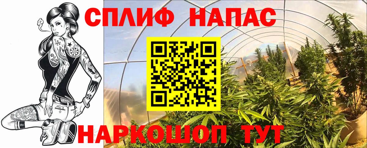 Каннабис ГИДРОПОН  Каннабис индика  Вход с VPN  Киселёвск 